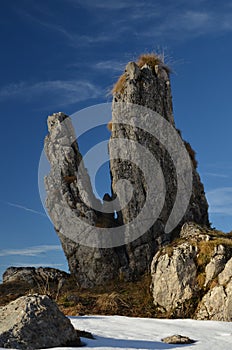 Autumm photo of lonely rocks on suisse alps