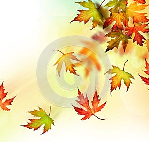 Autunno 