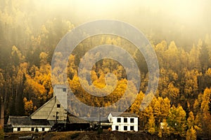 Autumn at the Abandoned Gilman Mine photo