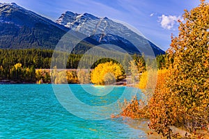 Autumn of Abraham lake, Canada