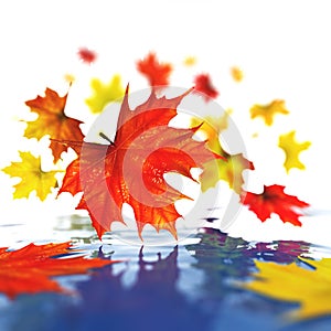 Autumn abstract background.
