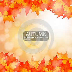 Autumn abstract blurred background
