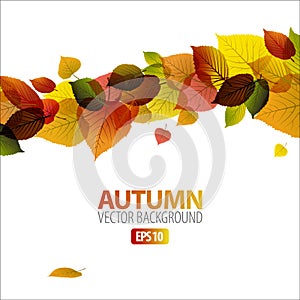 Autumn abstract floral background