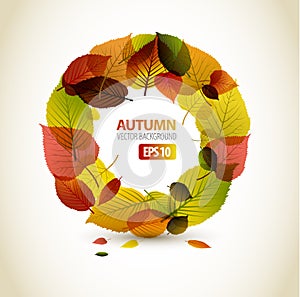 Autumn abstract floral background