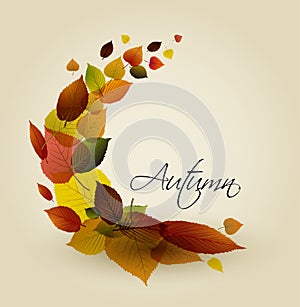 Autumn abstract floral background