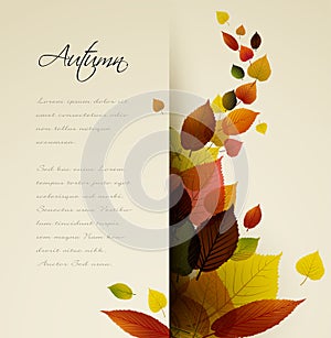 Autumn abstract floral background