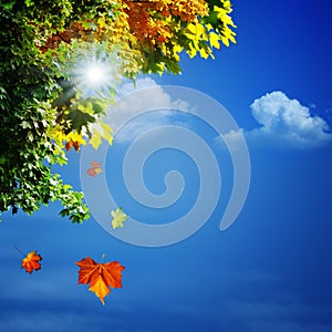 Autumn, abstract natural backgrounds