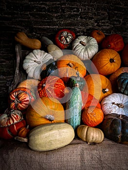 Autumn Abundance: A Stunning Harvest of Pumpkins and Squashes