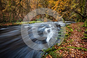 Autumn colours at Achray Water in the Trossachs photo