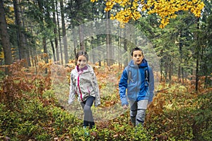 Autumn activity in the forest for healthy life. Children exploring colourful autumn forest