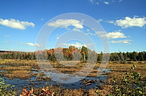 Autumn in Adirondack Park