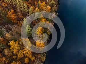 Autumn aerial look down on river in golden forest