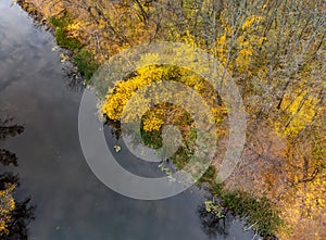 Autumn aerial look down on river in yellow forest