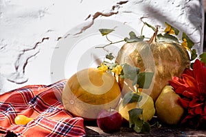 Autumn aesthetic fair: yellow fruits and vegetables, pumpkin, pears, apple and melon. Thanksgiving Day concept with copy