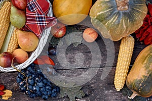 Autumn aesthetic flat lay: yellow fruits, vegetables: pumpkin, pears, apple, melon and corn. Thanksgiving Day concept