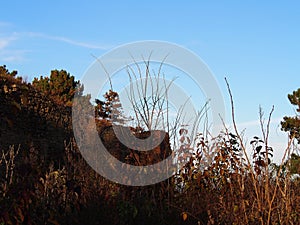 Autumn afternoon in the woods near the ruins of an old stone castle, sunny cold day, wild nature, adventure trip, travel