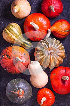 Autumn agricultural still life with cucurbita fruits, flat lay, top view