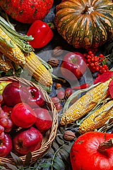 Autumn agricultural still life with fruits and vegetables. Harvest festival holiday concept