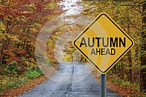 Autumn ahead cautionary road sign against a fall background