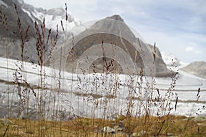 Autumn Aletsch Glacier, Switzerland