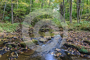 Autumn in the Alleghenies