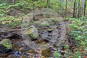 Autumn in the Alleghenies