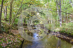 Autumn in the Allegheny Mountains