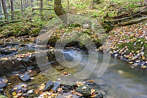 Autumn in the Allegheny Mountains