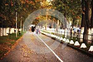 Autumn alley in the city leaves