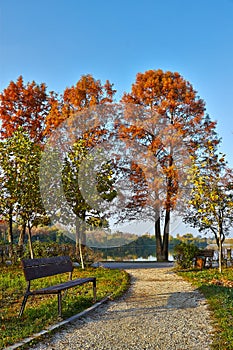 Autumn alley in the park