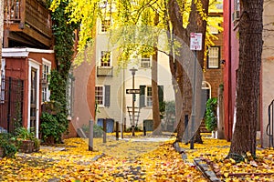 Autumn alleyway in Philadelphia, Pennsylvania, USA