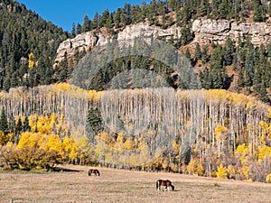 Autumn along the Million Dollar Highway