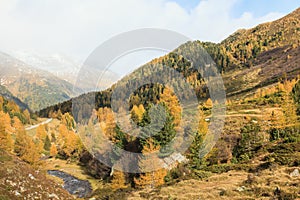 Autumn alp landscape