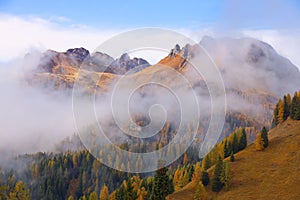 Autumn alpine landscape with colorful larch forest and beautiful mountains in background, Dolomites, Italy, Europe