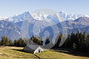 Autumn alpine landscape with a hut on the Niederhorn in the Bernese Oberland