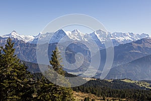 Autumn alpine landscape on the Niederhorn in the Bernese Oberland