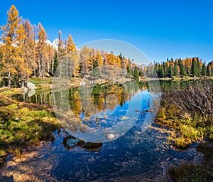 Autumn alpine mountain lake near San Pellegrino Pass, Trentino, Dolomites Alps, Italy