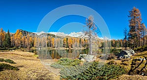 Autumn alpine mountain lake near San Pellegrino Pass, Trentino, Dolomites Alps, Italy