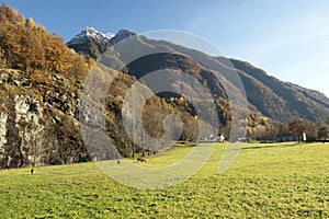Autumn alpine pasture landscape