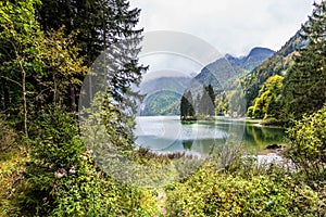 Autumn in the Alps