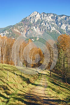 Autumn in the Alps