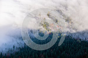 Autumn Alps mountain misty morning view from Jenner Viewing Platform, Schonau am Konigssee, Bavaria, Germany photo