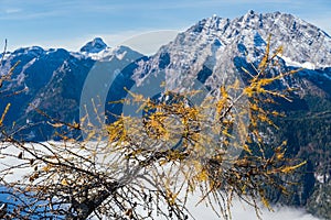 Autumn Alps mountain misty morning view from Jenner Viewing Platform, Schonau am Konigssee, Berchtesgaden national park, Bavaria, photo