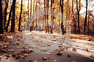 Autumn in America Central Park photo