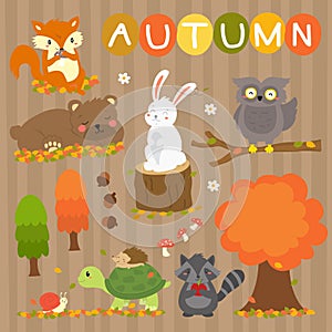 Autumn Animals and Elements Vector Set
