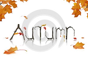 Autumn Announcement