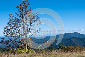 Autumn in the Appalachian Mountains Viewed Along the Blue Ridge Parkway