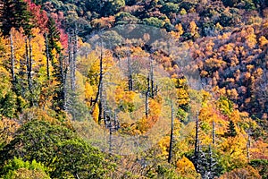 Autumn in the Appalachian Mountains Viewed Along the Blue Ridge Parkway