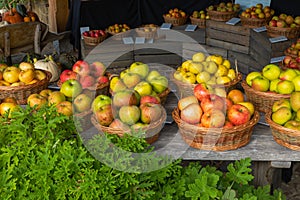 Autumn apple harvest displayed in wicker baskets