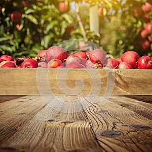 Autumn apple orchard . wooden background